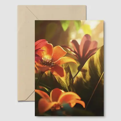 Tropical Flowers Warm Sunlit Garden Scene