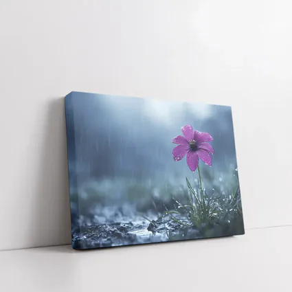 Purple Flower Standing Alone In Rain