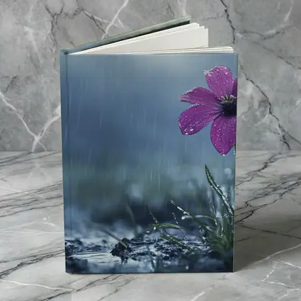 Purple Flower Standing Alone In Rain