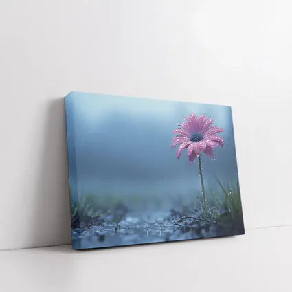 Pink Gerbera Daisy Flower Rain Blue Background