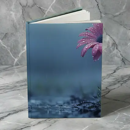 Pink Gerbera Daisy Flower Rain Blue Background