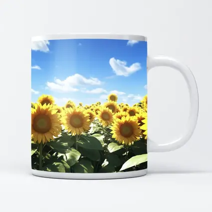 Sunflower Field Under Bright Blue Sky