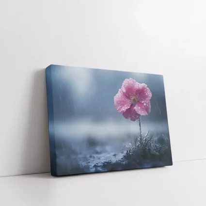 Pink Flower In Rain Blue Moody Background