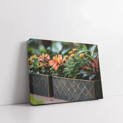 Dark Gold Geometric Planters With Orange Flowers