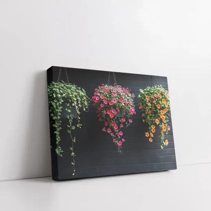 Hanging Petunia Baskets Against Dark Brick Wall