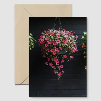 Hanging Petunia Baskets Against Dark Brick Wall