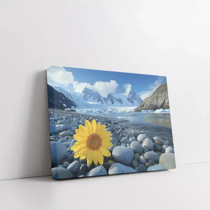 Yellow Sunflower Rocky Shore Snow Mountains