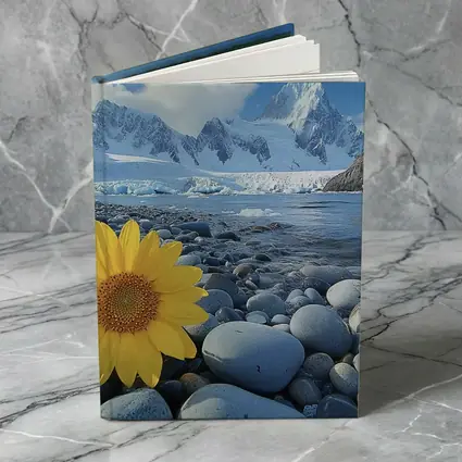 Yellow Sunflower Rocky Shore Snow Mountains