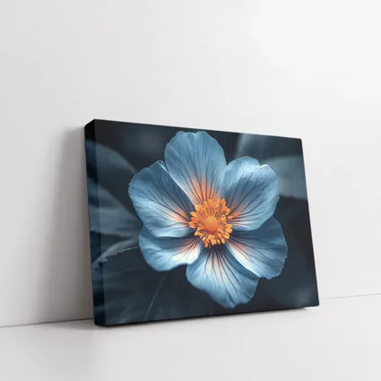 Blue Flower Orange Center Dark Leaves