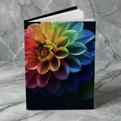 Rainbow Dahlia Flower Dark Background