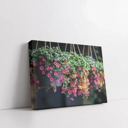 Pink Calibrachoa Flowers Hanging Basket Garden