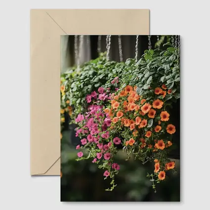 Hanging Basket Petunias Orange Pink Green
