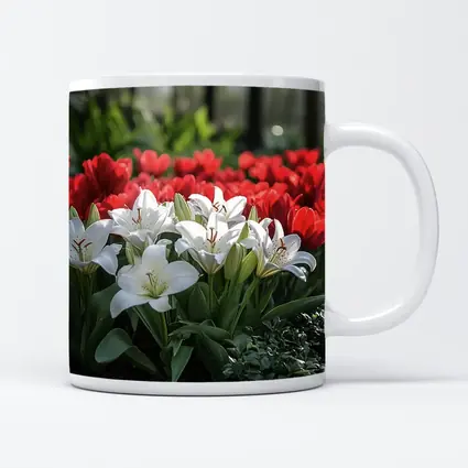 White Lilies Red Tulips Garden Flower Bed