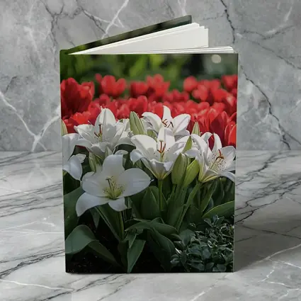 White Lilies Red Tulips Garden Flower Bed