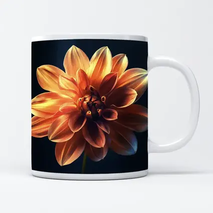 Orange Dahlia Flower Dark Blue Background