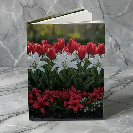 Red White Tulips Lilies Garden Flower Bed