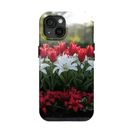 Red White Tulips Lilies Garden Flower Bed