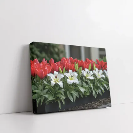 Red Tulips White Lilies Garden Planter