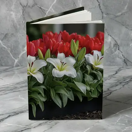 Red Tulips White Lilies Garden Planter