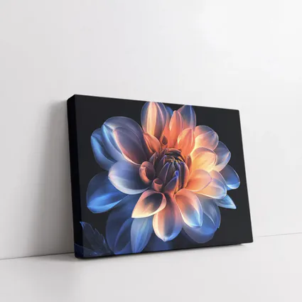 Dahlia Flower Blue Orange Dark Background