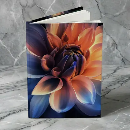 Dahlia Flower Blue Orange Dark Background