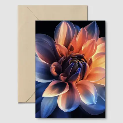 Dahlia Flower Blue Orange Dark Background