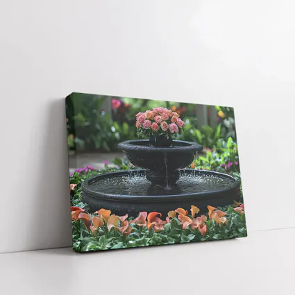 Black Garden Fountain Pink Roses Flowers