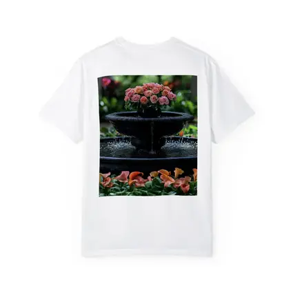 Black Garden Fountain Pink Roses Flowers