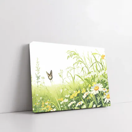 Butterfly Flying Over Daisy Wildflower Meadow