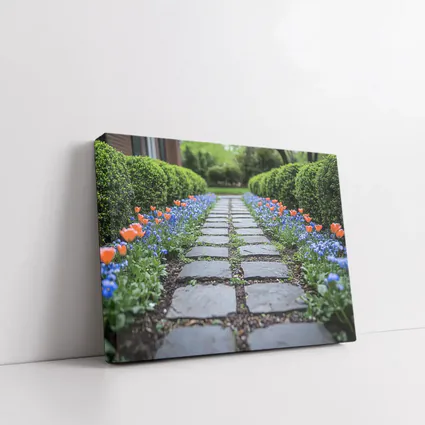 Tulips And Muscari Along Garden Stone Path
