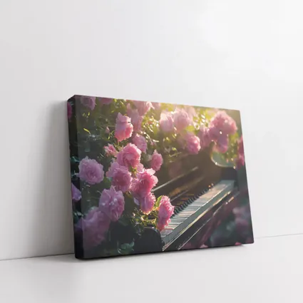 Pink Roses Blooming Around Grand Piano