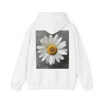 White Daisy Flower Gray Concrete Background
