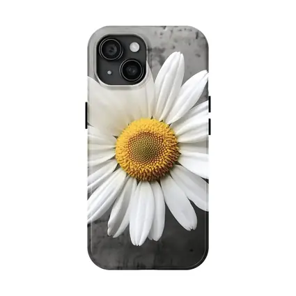 White Daisy Flower Gray Concrete Background