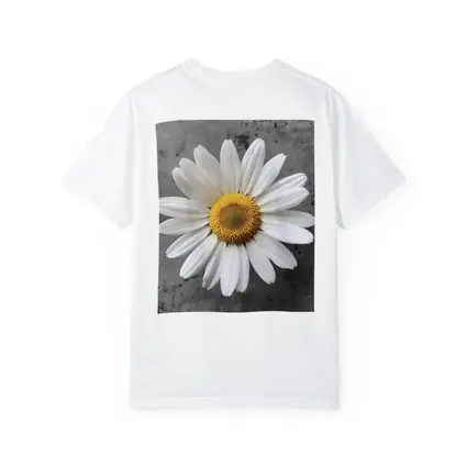 White Daisy Flower Gray Concrete Background