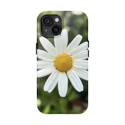 White Daisy Flower Green Garden Background