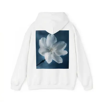 White Cherry Blossom Flower Blue Background