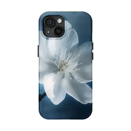 White Cherry Blossom Flower Blue Background