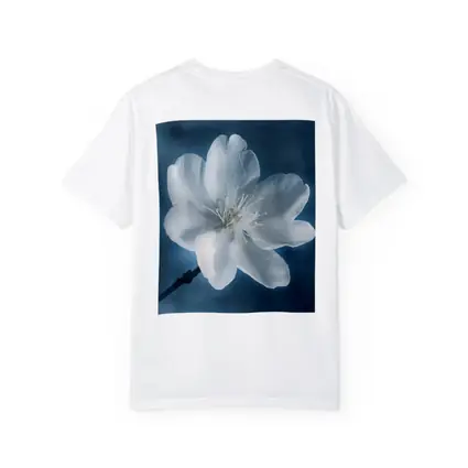 White Cherry Blossom Flower Blue Background