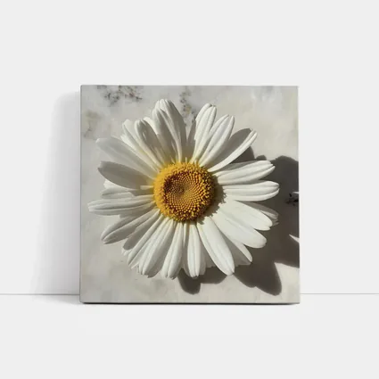 White Daisy Flower On Marble Surface