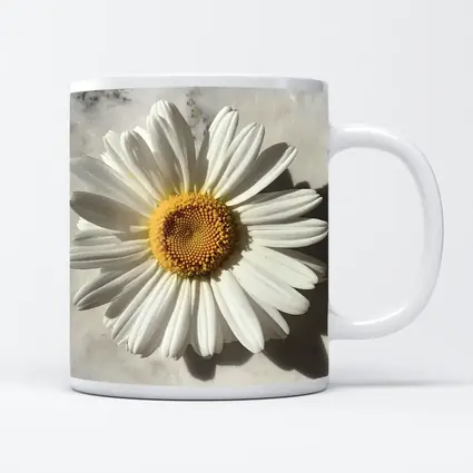 White Daisy Flower On Marble Surface