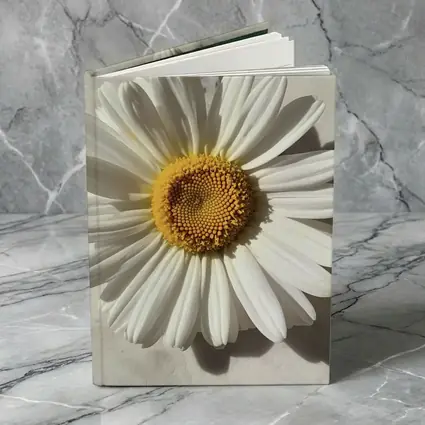 White Daisy Flower On Marble Surface