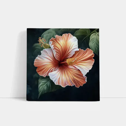 Peach Hibiscus Flower Dark Botanical Background