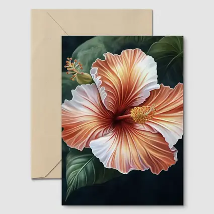 Peach Hibiscus Flower Dark Botanical Background