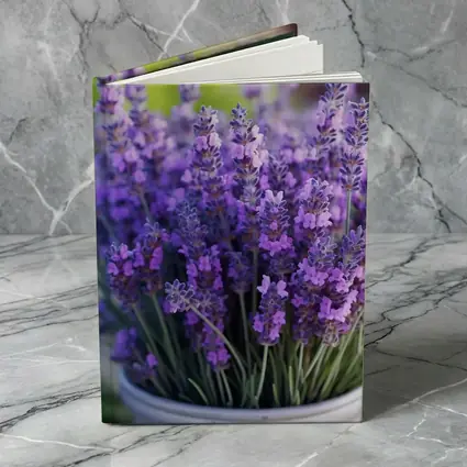 Lavender Flowers In White Pot Garden
