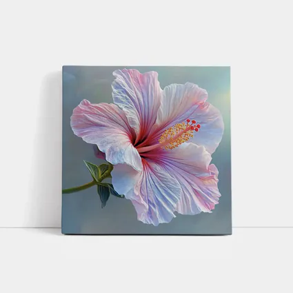 Pink Hibiscus Flower Soft Blue Background