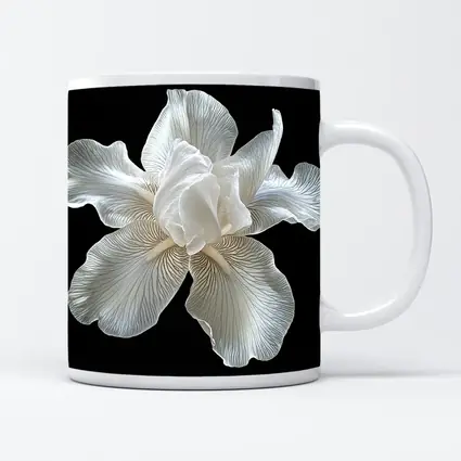 White Iris Flower On Black Background