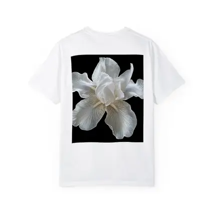 White Iris Flower On Black Background