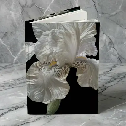 White Iris Flower On Black Background