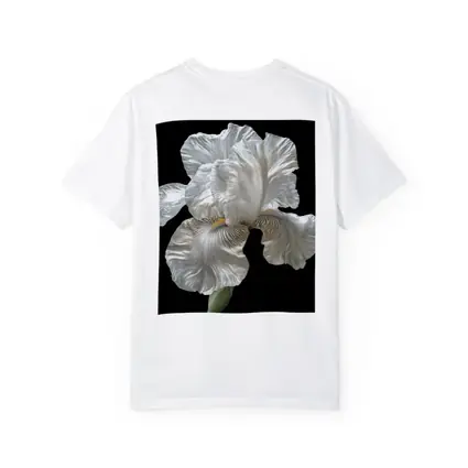 White Iris Flower On Black Background