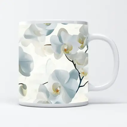 White Orchid Flowers Soft Blue Background